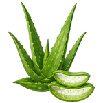 Aloevera